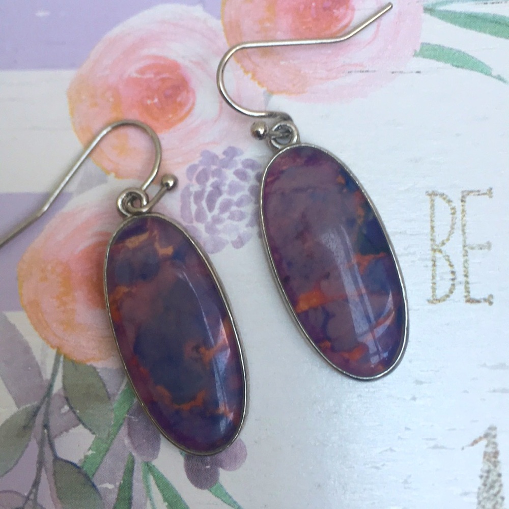 Vintage Pair of Marbled Resin Hook Drop Earrings